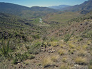 photo thumbnail #1