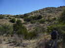photo thumbnail #2