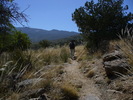 photo thumbnail #3