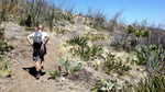 photo thumbnail #6