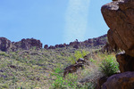 photo thumbnail #5