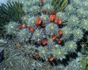 photo thumbnail #4
