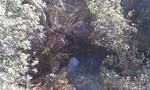 photo thumbnail #4