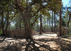 photo thumbnail #3