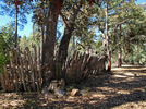 photo thumbnail #5