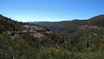 photo thumbnail #8