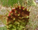 photo thumbnail #6