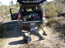 photo thumbnail #2
