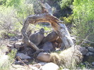 photo thumbnail #1