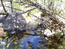 photo thumbnail #6