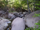 photo thumbnail #7