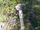 photo thumbnail #2