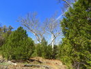 photo thumbnail #12