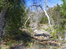 photo thumbnail #13