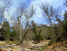photo thumbnail #14