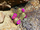 photo thumbnail #15