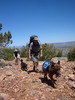 photo thumbnail #2