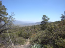 photo thumbnail #3