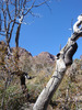 photo thumbnail #7
