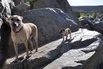 photo thumbnail #5