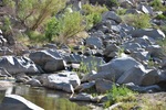 photo thumbnail #7
