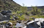 photo thumbnail #10