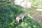 photo thumbnail #12