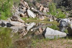 photo thumbnail #14