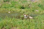 photo thumbnail #15