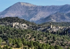 photo thumbnail #8