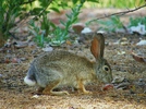 photo thumbnail #11