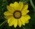 photo thumbnail #14