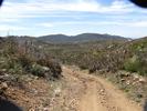 photo thumbnail #8