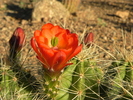 photo thumbnail #14
