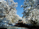 photo thumbnail #3