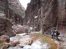 photo thumbnail #15