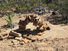 photo thumbnail #1