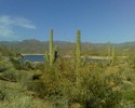 photo thumbnail #4