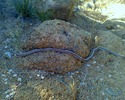 photo thumbnail #10