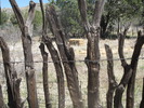 photo thumbnail #5