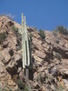 photo thumbnail #12