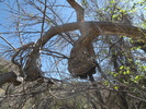 photo thumbnail #14