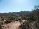 photo thumbnail #1