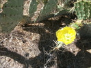 photo thumbnail #3