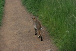 photo thumbnail #4