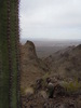 photo thumbnail #4