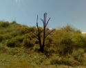 photo thumbnail #11