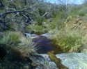 photo thumbnail #12