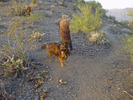 photo thumbnail #2