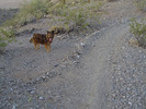 photo thumbnail #3